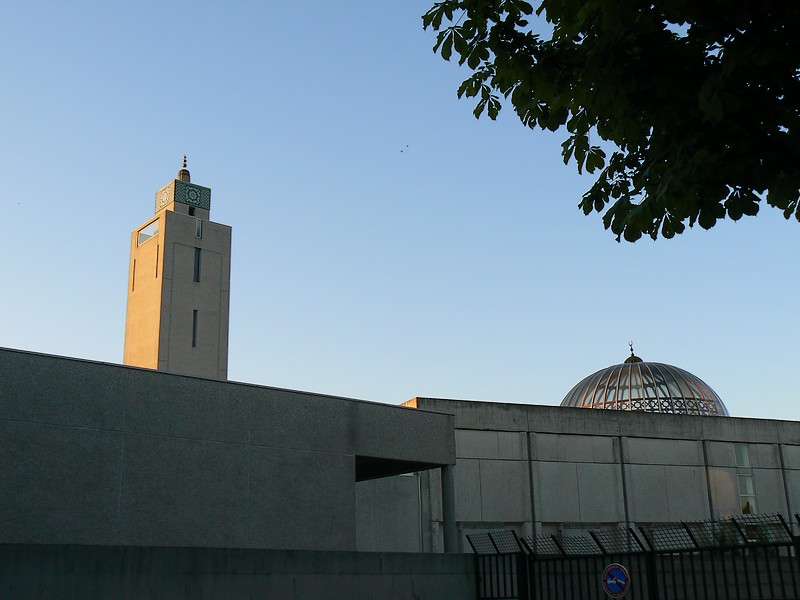 la grande mosquee: la grande mosquee evry 033